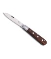 otter 169.r couteau lame 8,2 cm acier inox 1,4034 manche 10,5 cm chêne fumé